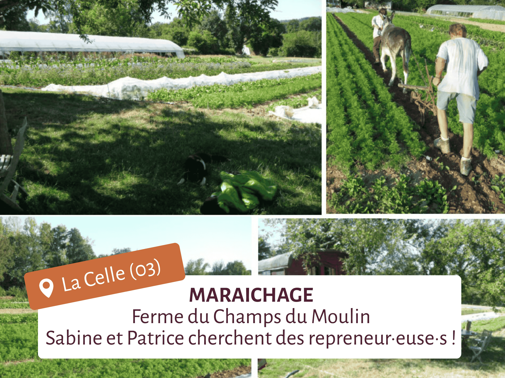 Photo d'une offre de test dans l'Allier