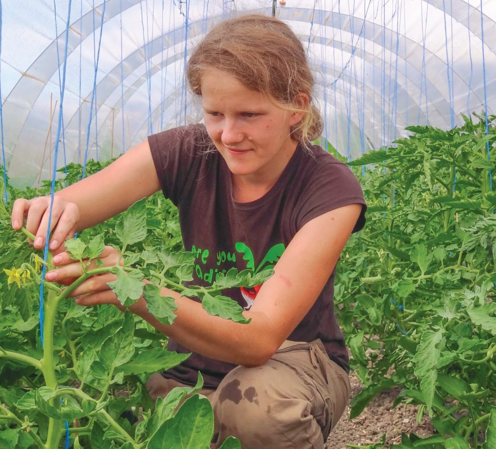 Testeuse accompagnée par Ilots Paysans dans sa serre