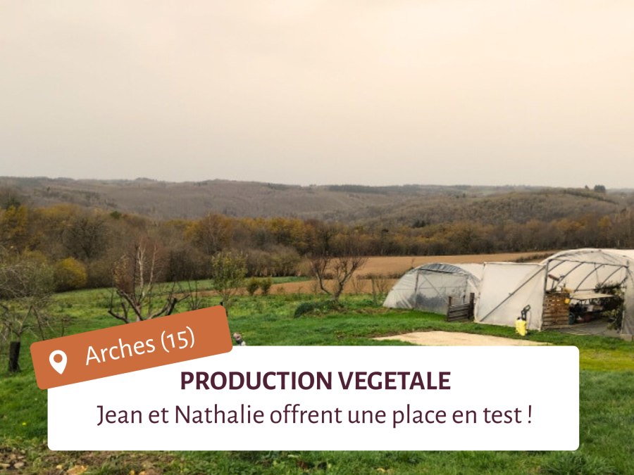 Lieu test en maraichage et arboriculture dans le Cantal avec des serres et des vergers