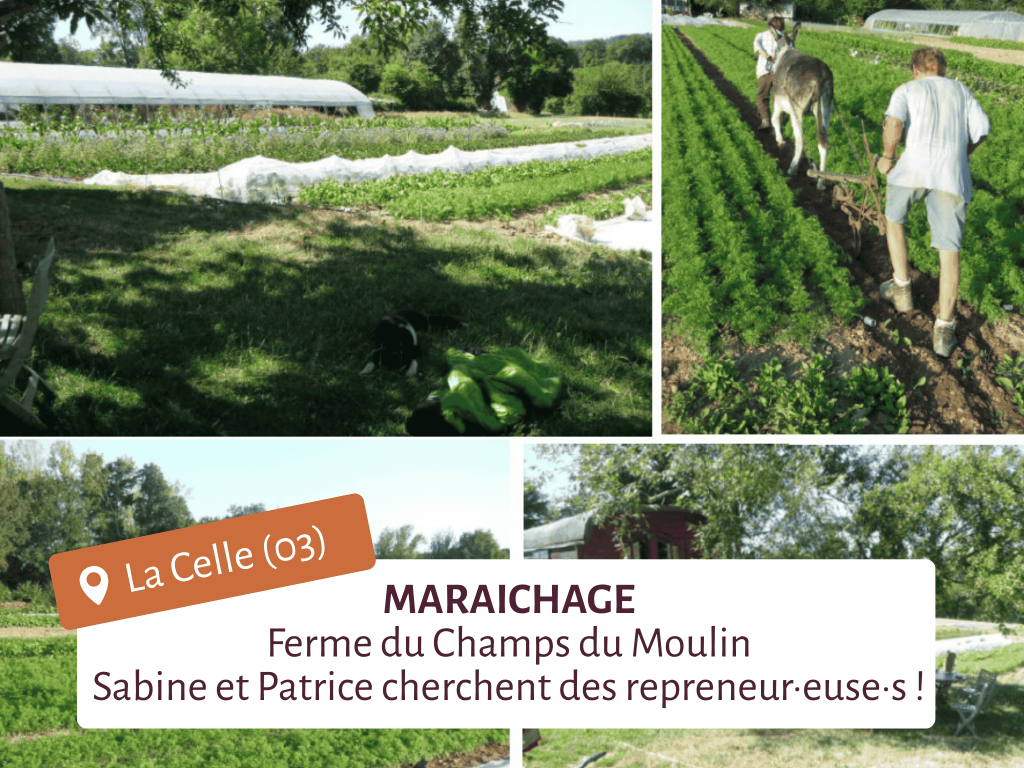 Photo d'une offre de test dans l'Allier