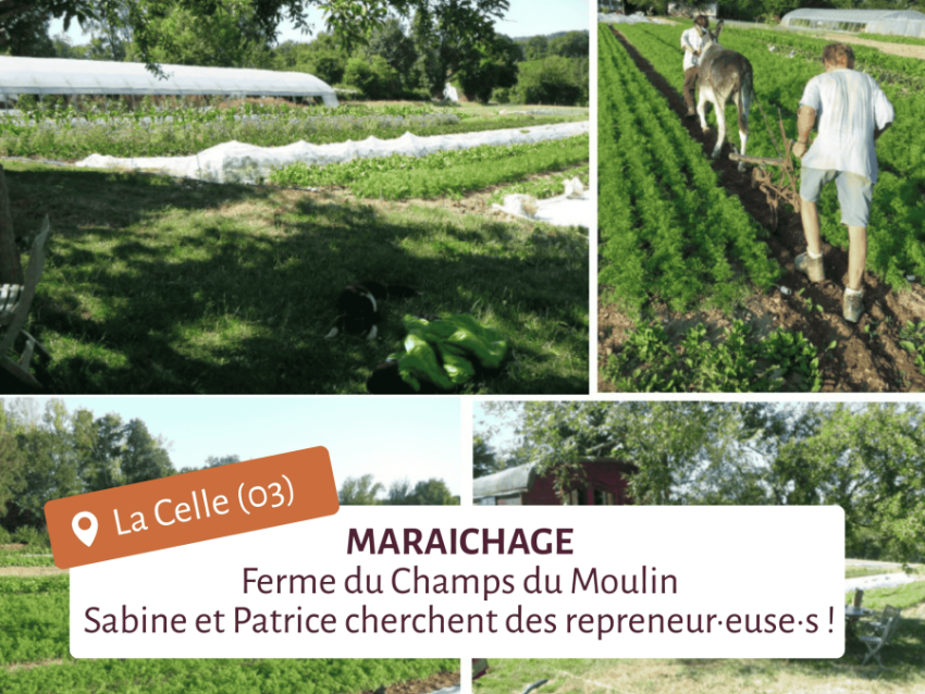 Lieu test avec parcelles en maraichage et porteur de projet qui se teste en traction animale